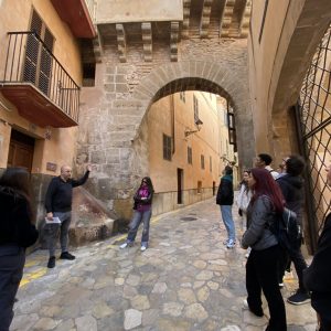 Visita Palma Romana – Museu de Mallorca – Palau de l’Almudaina