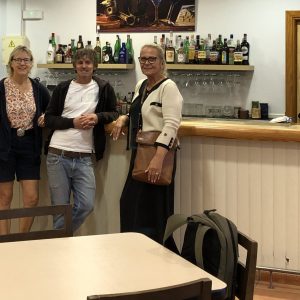 Visita professorat de Suècia