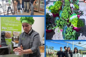 Sortida alumnat HOT21Z