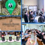 Visita vinya i olivar