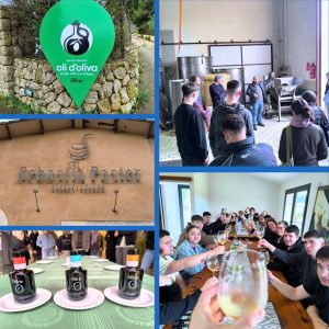 Visita vinya i olivar