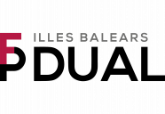 logo dual2